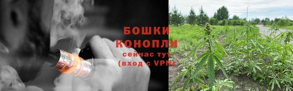 PSILOCYBIN Алексеевка