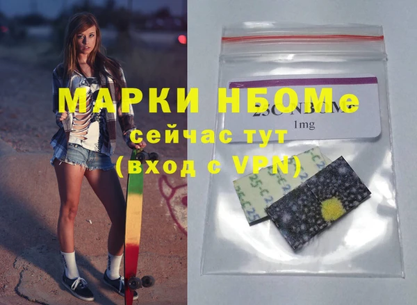 метадон Алексин