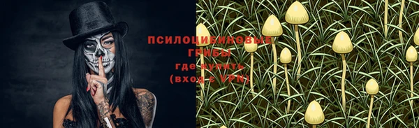 тгк Алзамай
