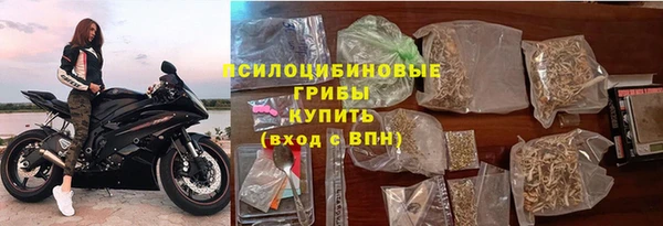 PSILOCYBIN Алексеевка