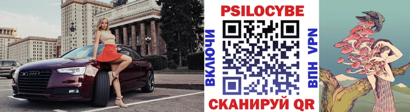 Галлюциногенные грибы Psilocybe Орёл